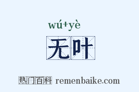 无叶是什么意思的图片